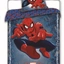 Lifestyle foto Povlečení Spiderman
