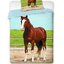 Obrázok produktu Fotoobliečka Kôň