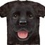 Foto Černé dětské tričko Štěňátko labradora