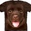 Tip na darček Hnedé tričko Šteniatko labradora