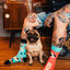 Pre dokonalý a originálny outfit Regular Socks Pug Life