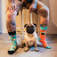 Sale Regular Socks Pug Life