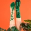 Výnimočný darček od Dedoles Chaussettes rigolotes Dans le jardin