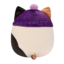 Lifestyle foto SQUISHMALLOWS Mačka s čiapkou Cam, 40 cm