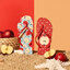 Looking for an original and unusual gift? The gifted person will surely surprise with Flip Flops Red Apple