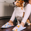 Tip na darček Chinelos alegres Cão Corgi
