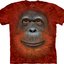 Lifestyle foto Tričko Tvár Orangutana