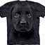 Hľadáte originálny a nezvyčajný darček? Obdarovaného zaručene prekvapí Tričko Čierny labrador šteniatko