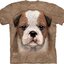 Tip na dárek Tričko Štěňátko bulldoga - dětské