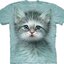 Eredeti ajándék a Dedolestől Kék szemű macska póló