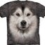 a tökéletes és egyedi ruházathoz Aljaskai malamut póló