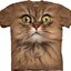 Kedvezmény Barna macska arca póló