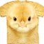 Výnimočný darček od Dedoles Tričko Tvár kuriatka