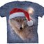 Lifestyle fotó Holiday Wolf Adult