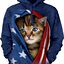 Szerezzen magának örömet ezzel a Dedoles darabbal Patriotic Kitten Hoodie