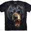 a tökéletes és egyedi ruházathoz Agresszív fekete medve póló
