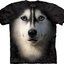 Hľadáte originálny a nezvyčajný darček? Obdarovaného zaručene prekvapí Tričko Sibírsky husky