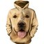 Lifestyle foto Mikina s kapucňou Tvár zlatého retrívera
