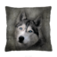 Lifestyle foto Dekoratívny vankúš Husky 40x40 cm