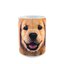 für ein vollkommenes und originelles Outfit Originelle Tasse mit dem Motiv Golden Retriever