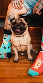 Pre milovníka zvierat