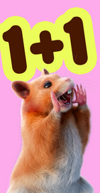 Вземи своите БЕЗПЛАТНИ чорапи сега!