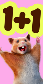 Nutze den Code SAVE und erhalte jedes zweite Paar kostenlos! 