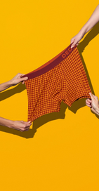 Il perfetto compromesso