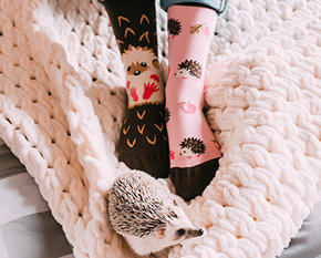 Životinjsko carstvo