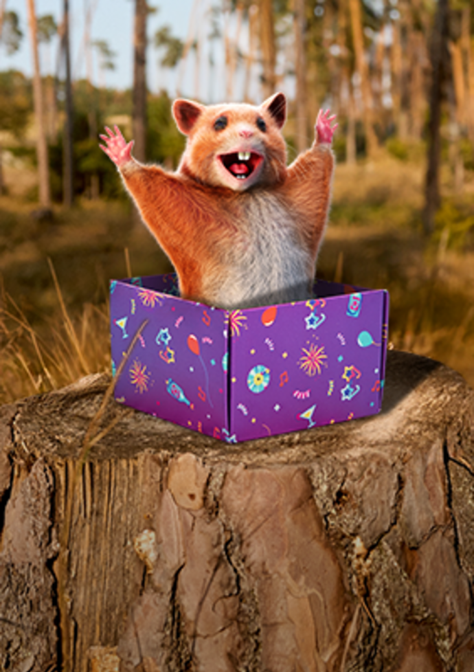 Bunte Stücke, die deinen Tag aufheitern Dedoles