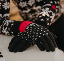 WINTER GLOVES