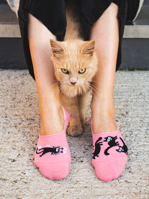 Pink Cats (2) Pink Cats (2)