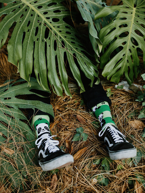 Panda & Stripes (9) Panda & Stripes (9)