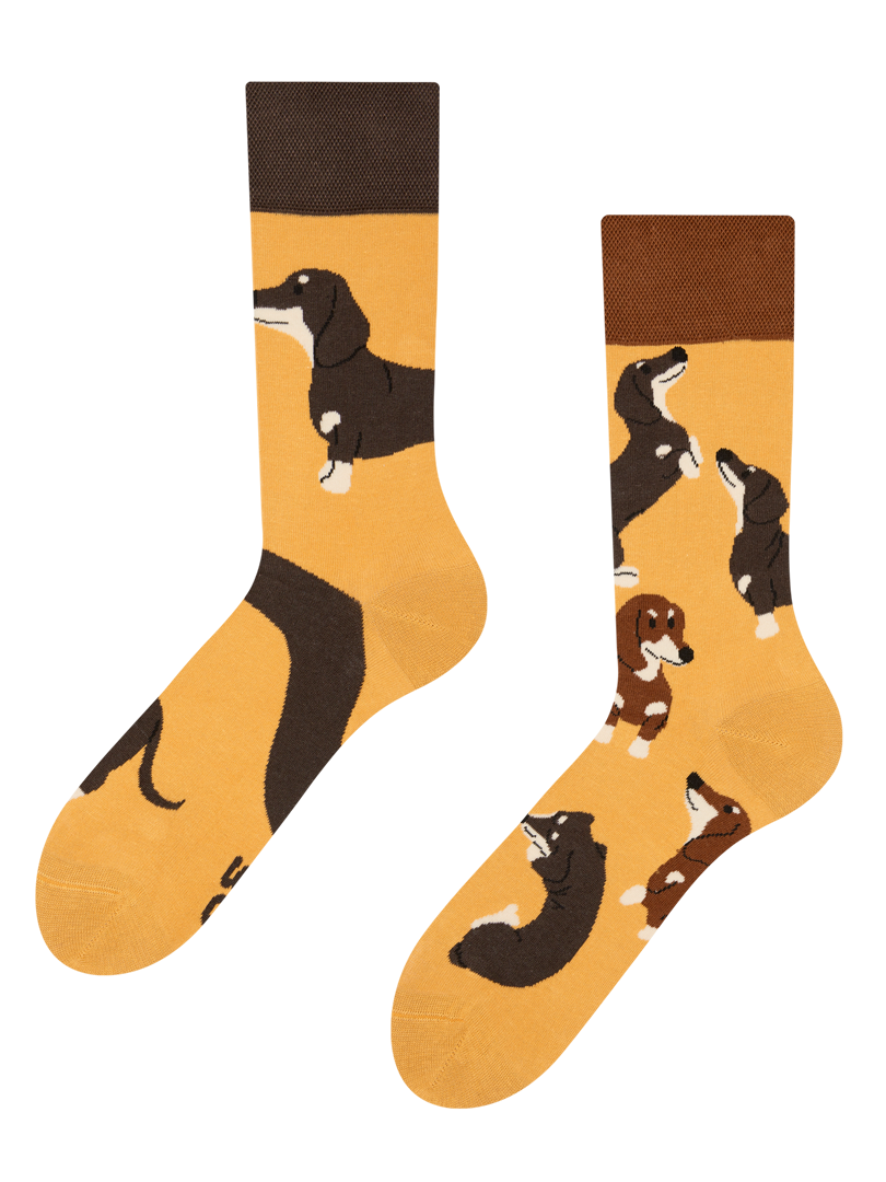 Socken mit dackel clearance