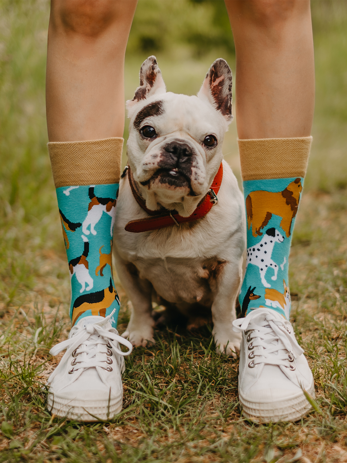 Lustige socken hund Clearance