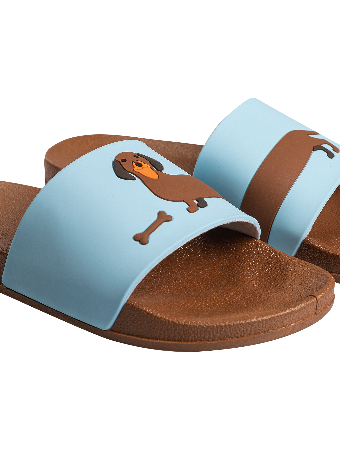 Dachshund Slides Dachshund Slides