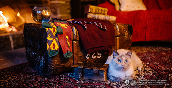 Gryffindor