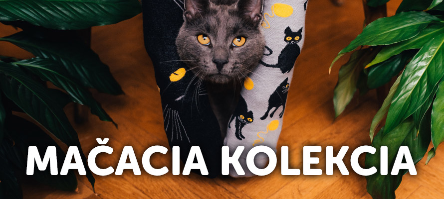 chutná čierna mačička Ukáž mi vaše oholený mačička